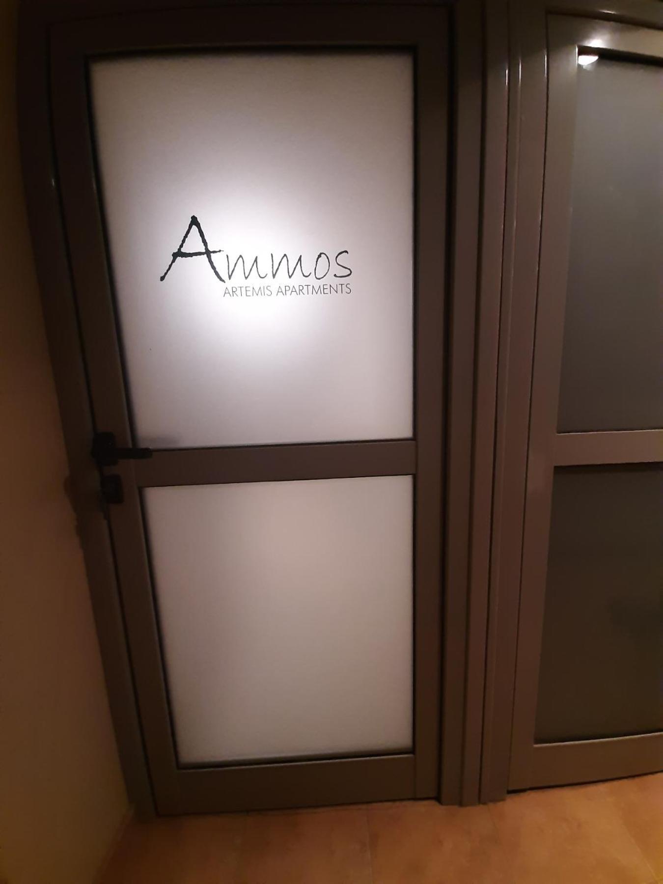 Ammos Artemis Apartments Extérieur photo